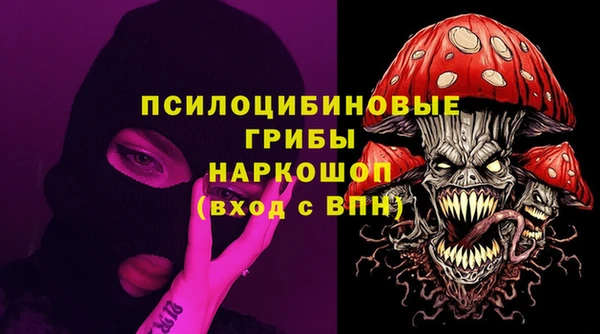 твердый Гусь-Хрустальный