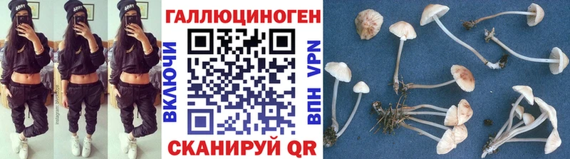 закладка  Староминская  Галлюциногенные грибы Magic Shrooms 