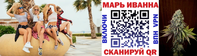 Канабис конопля  Староминская 